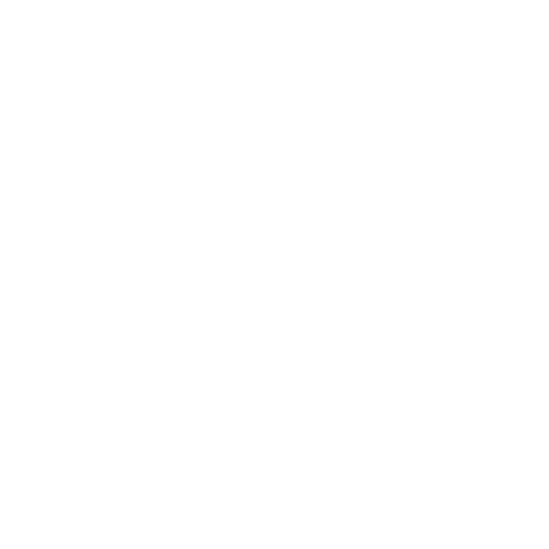 Logo Shiva Web Design Blanc